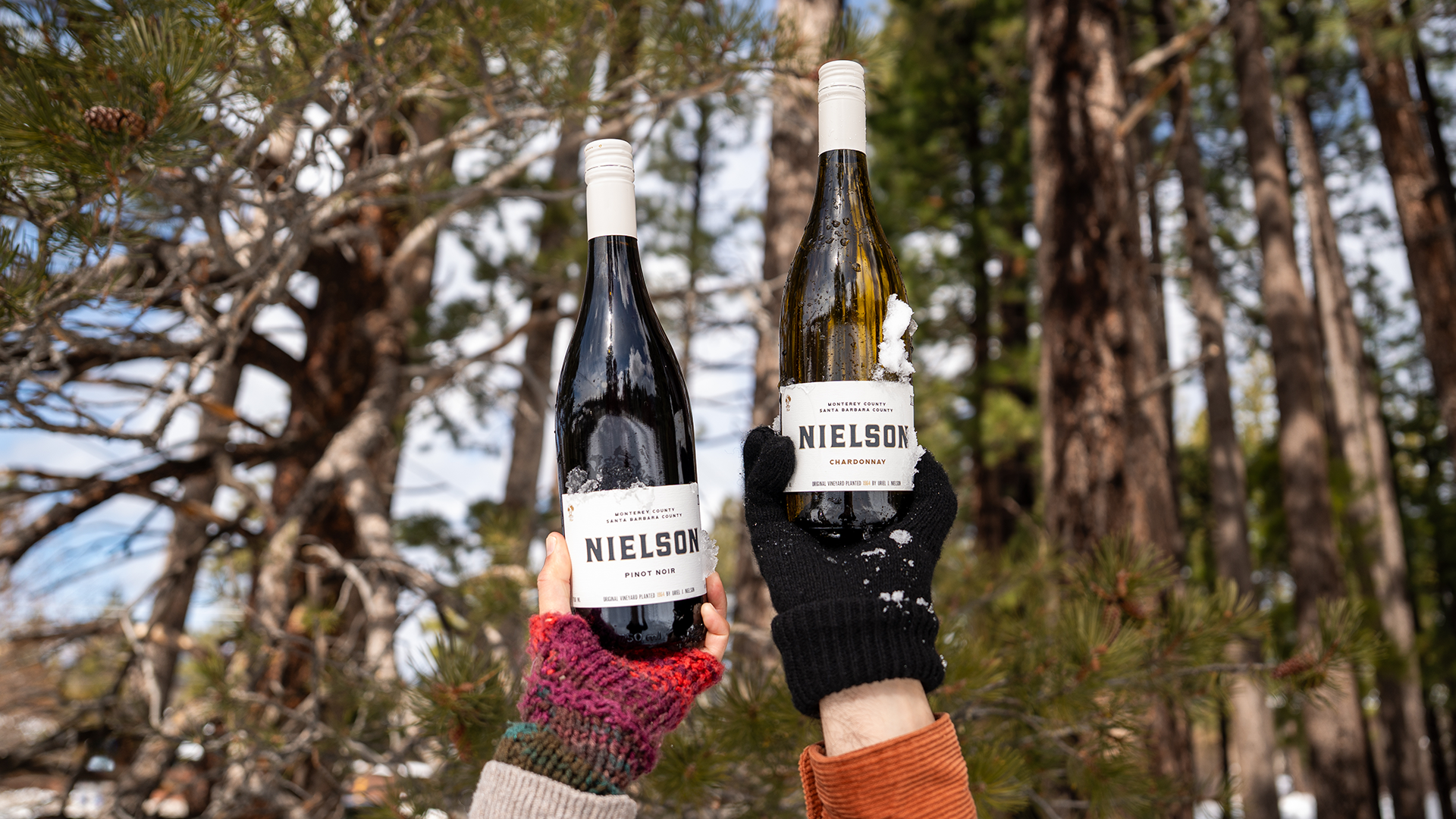 Two Nielson wines on a blanket on the beach