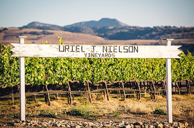 Uriel J Nielson sign in Nielson wines vineyard