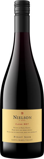 Clone 667 Pinot Noir image number null